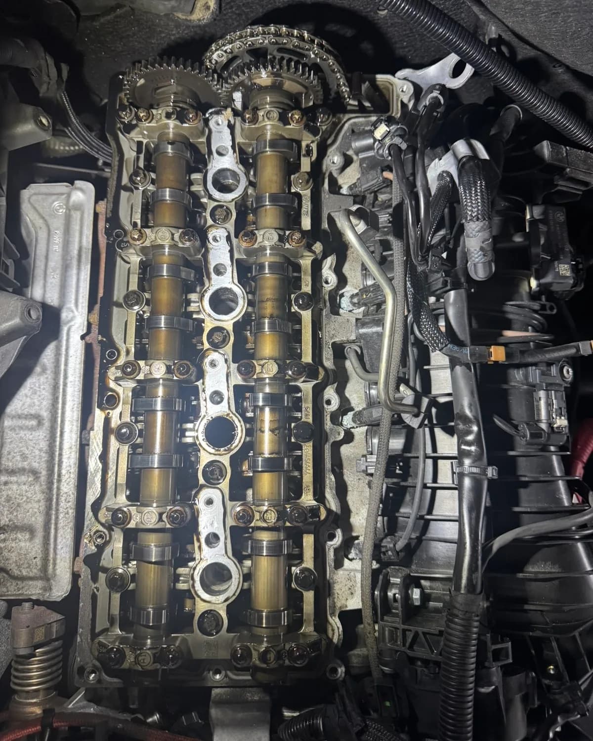 Arbres à cames d'un quatre cylindres exposés lors d'un contrôle de chaîne de distribution