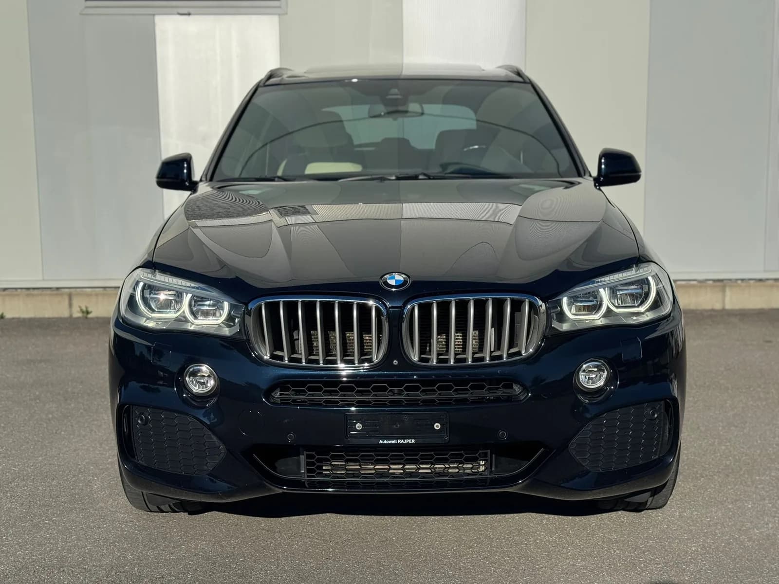 BMW X5 xDrive 40d Steptronic 2014 thumbnail 2