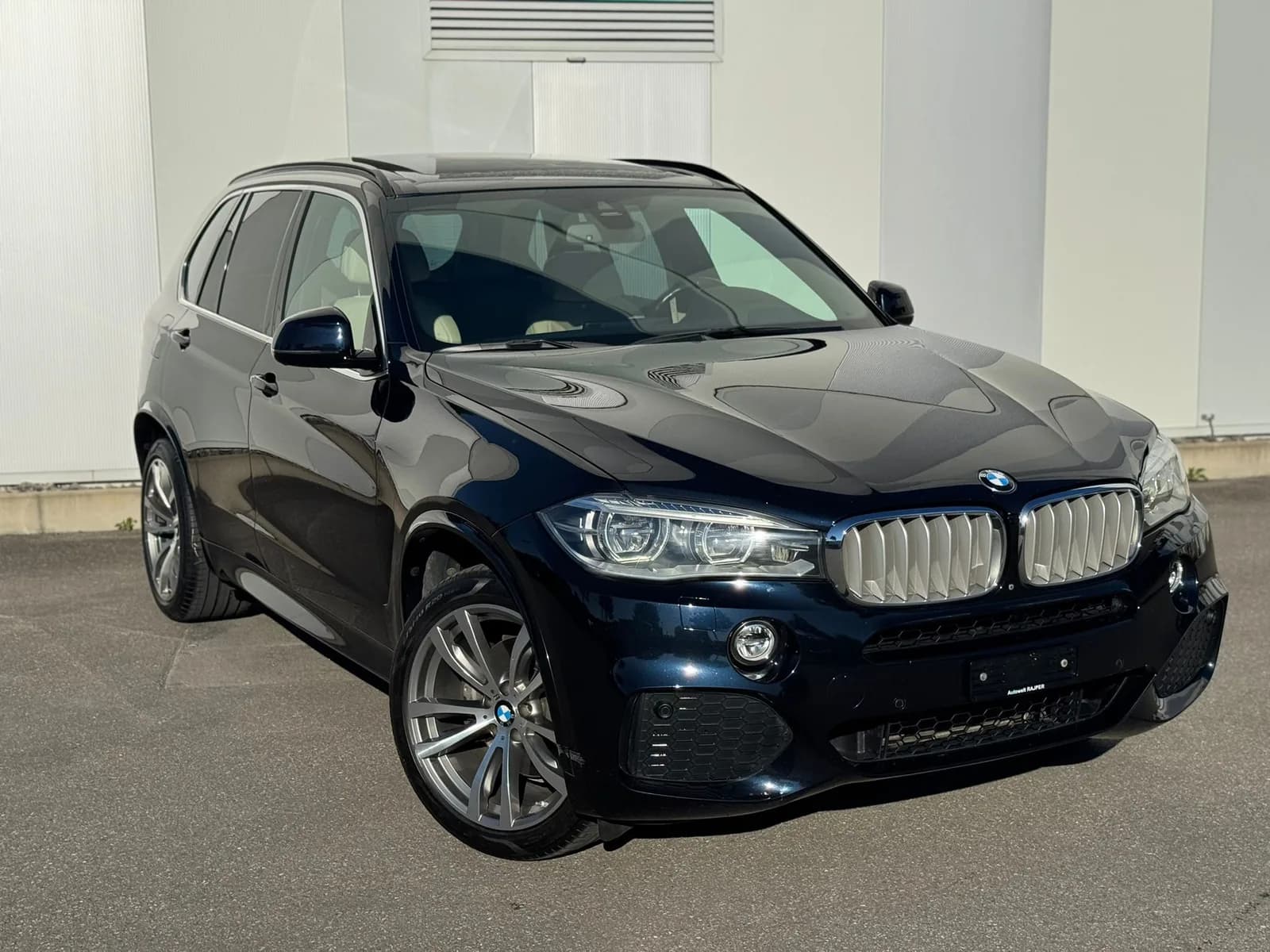 BMW X5 xDrive 40d Steptronic 2014 thumbnail 3